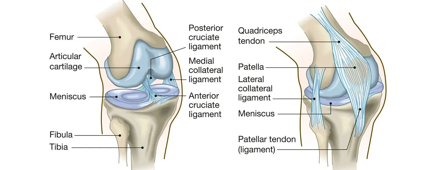 Боли в коленных суставах