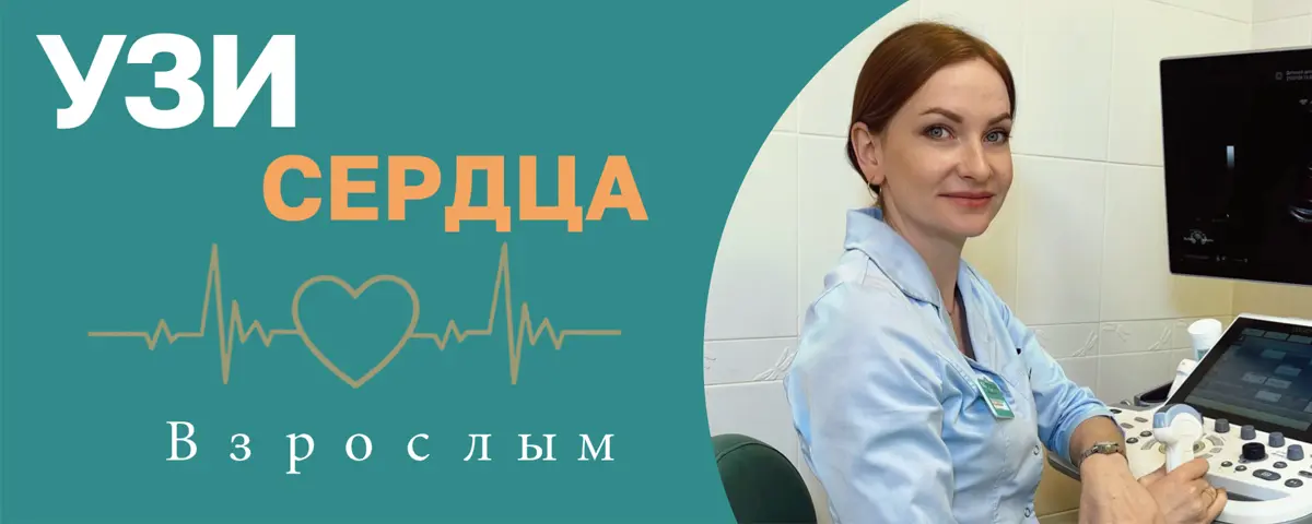 УЗИ сердца взрослым